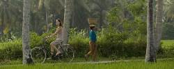 Bali Travel