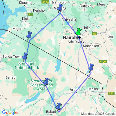 Wildlife Experience Kenia & Tanzania (333 Travel)