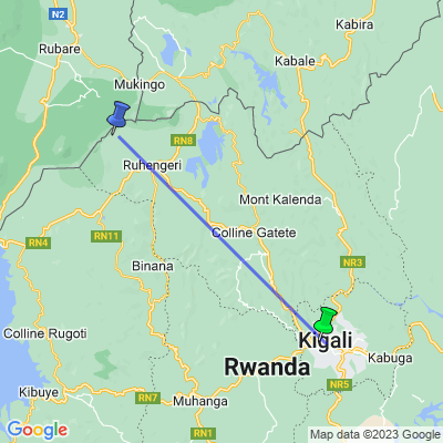 Classic Rwanda (Lion World Travel)