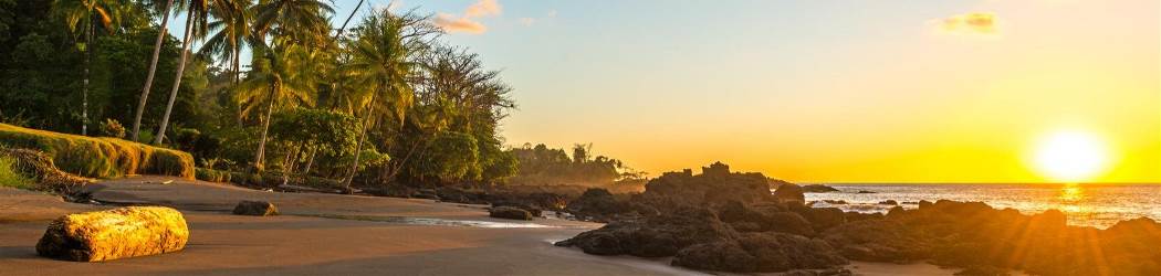Costa Rica Strand & Natuur aan de Pacifische Kust (Nrv Holidays)