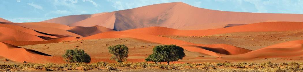 Eindeloos Namibië (Nrv Holidays)