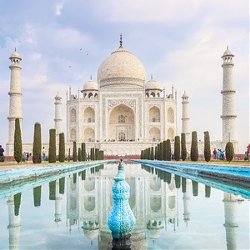 India: Land of the Taj & Tigers (Cosmos)