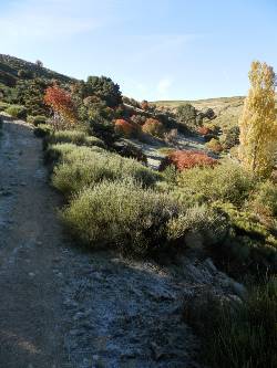 Picture:Walking in the Sierra de Gredos