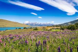 Classic Patagonia Treks (Exodus)