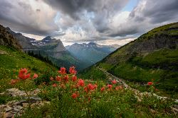 Yellowstone Walks & Wildlife (Exodus)