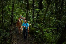 Discover Costa Rica (Exodus)