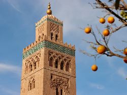 Signature Morocco | Echoes of the Minaret (Exodus)