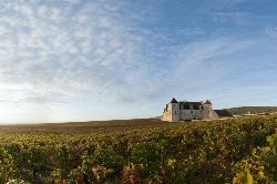 Discover Burgundy & Alsace – Premium Adventure (Exodus)