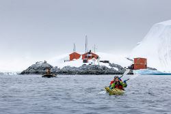 Penguins of the Far South: Falklands, South Georgia & Antarctica (Exodus)