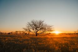 Botswana & Namibia: Delta & Dunes (Exodus)