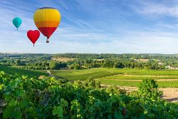 Cycle the Wine Route of Champagne (Exodus)