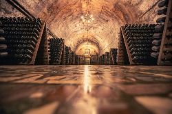 Walking The Vineyards of Champagne - Deluxe (Exodus)