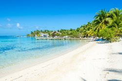 Belize Reef & Ruins (Exodus)