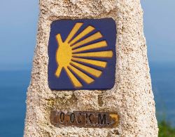 Walking across the Pyrenees on the Camino Frances (Exodus)