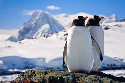 Antarctic Express: Fly the Drake (Exodus)