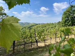 Secrets of Slovenia Cycling (Exodus)