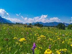 Lakes & Mountains of Bavaria Cycling (Exodus)