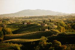 Walk The Prosecco Hills & Hidden Venice (Exodus)