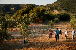 Walking in Andalucia (Exodus)