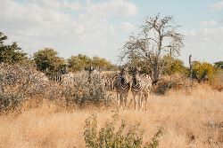 Discover Namibia - Camping (Exodus)
