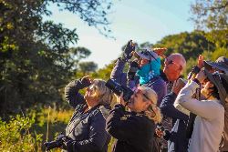 Pantanal - Land of the Jaguar (Exodus)