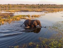 Botswana & Zimbabwe Lodge Safari (Exodus)