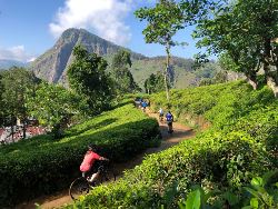 Cycle the Back Roads of Sri Lanka (Exodus)