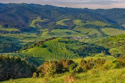 Carpathian Walking & Bears (Exodus)