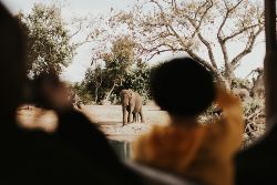 Essential Kruger Safari - Family Adventure (Exodus)