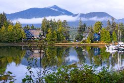 Whales & Bears of British Columbia (Exodus)