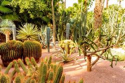 8-daagse singlereis Koningssteden van Marokko (TUI Nederland)