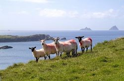 11-daagse rondreis Grand Tour Ierland (TUI Nederland)