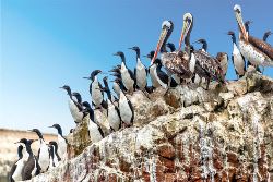 18-daagse rondreis Mystiek Peru (TUI Nederland)