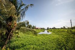 14-daagse fly-drive beleef Suriname (TUI Nederland)