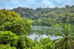 16-daagse fly-drive Suriname Compleet (TUI Nederland)