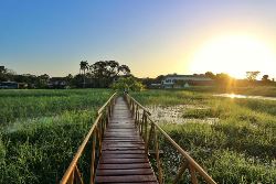 10-daagse fly-drive a taste of Suriname (TUI Nederland)