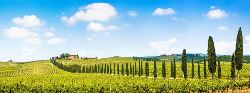 8-daagse rondreis Parels van Toscane (TUI Nederland)