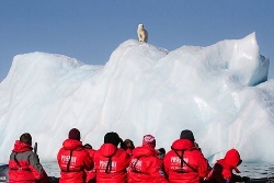 In-Depth Exploration in the Land of the Polar Bear (Poseidon Expeditions)