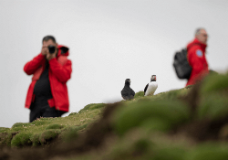 Wild Islands & Lands of Legends (Poseidon)