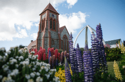 Antarctic Wildlife Adventure (Poseidon)