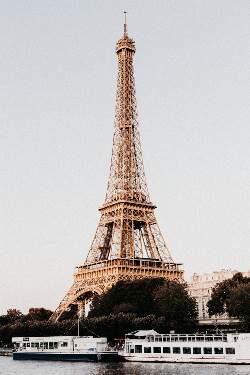 Picture:Spotlight on Paris