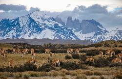 Patagonia: Edge of the World (Collette)