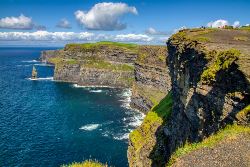 Irish Splendor (Collette)
