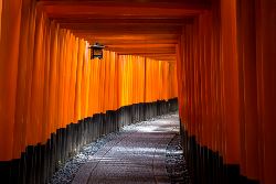 Cultural Treasures of Japan (Collette)