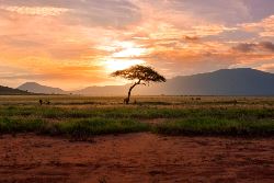 African Safari: Kenya and Tanzania (Collette)