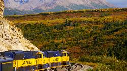 Alaska's Northern Lights (Collette)