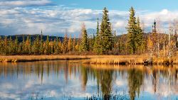 Alaska: America's Last Frontier (Collette)