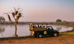 Cape, Safari and Falls (Contiki)