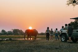 Victoria Falls and Botswana (Contiki)