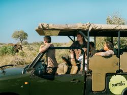 Sea, Safari, South Africa (Contiki)